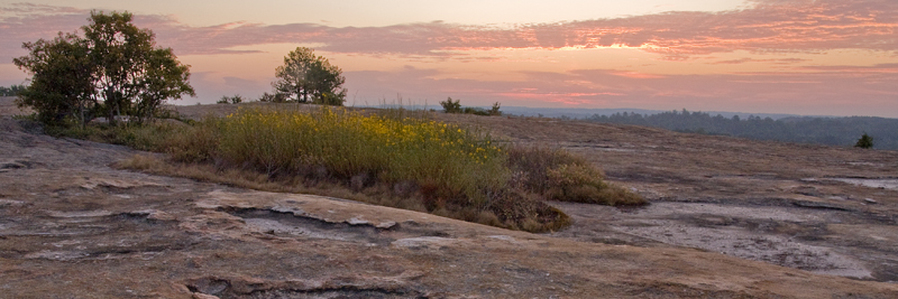 Arabia mountain deals